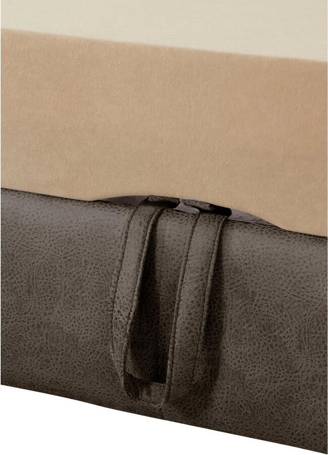 Exxpo sofa fashion Hoekbank Enya uitgebreide afwerking hoog zitcomfort comfortabel L-vorm inclusief verstelbare hoofdsteun naar keuze met slaapfunctie en bedkist