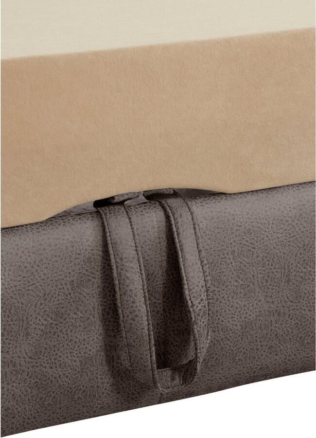 Exxpo sofa fashion Hoekbank Enya uitgebreide afwerking hoog zitcomfort comfortabel L-vorm inclusief verstelbare hoofdsteun naar keuze met slaapfunctie en bedkist