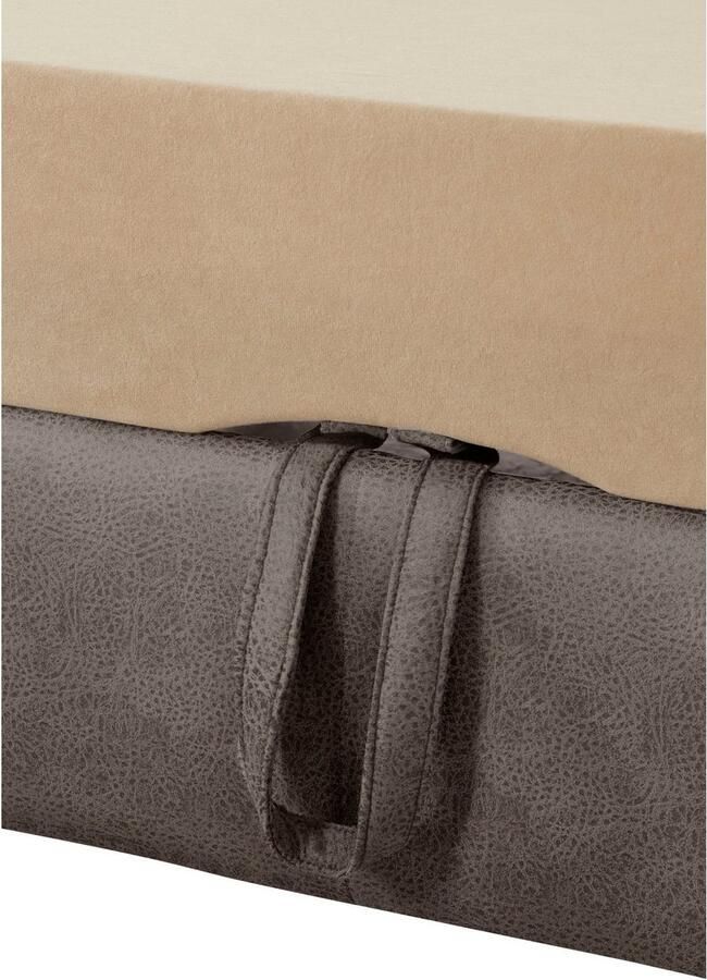 Exxpo sofa fashion Hoekbank Enya uitgebreide afwerking hoog zitcomfort comfortabel L-vorm inclusief verstelbare hoofdsteun naar keuze met slaapfunctie en bedkist