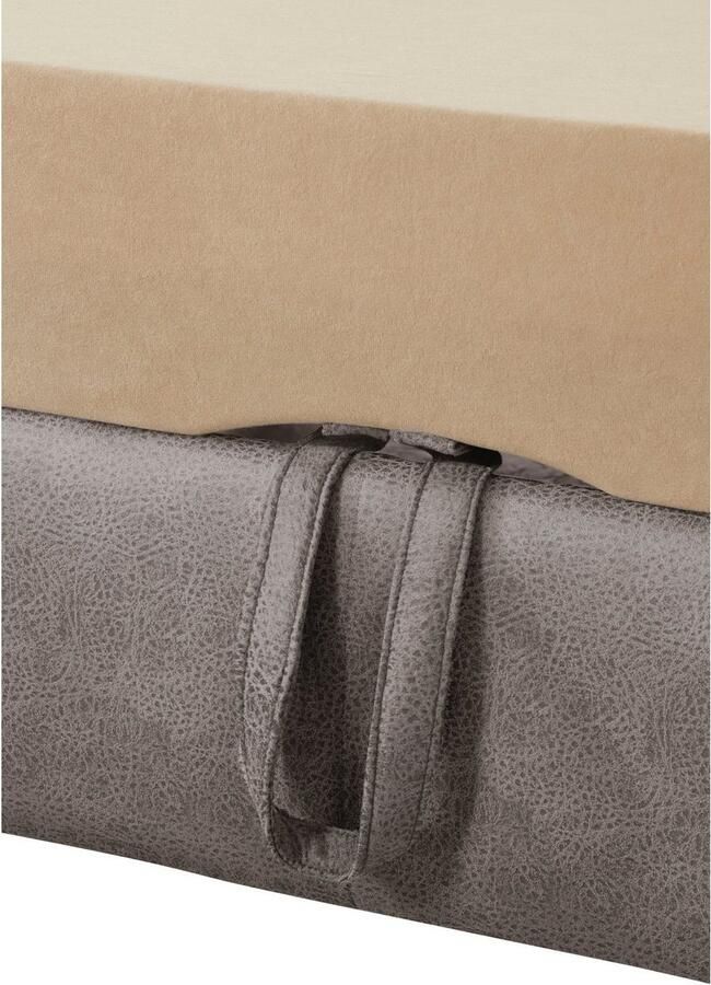 Exxpo sofa fashion Hoekbank Enya uitgebreide afwerking hoog zitcomfort comfortabel L-vorm inclusief verstelbare hoofdsteun naar keuze met slaapfunctie en bedkist