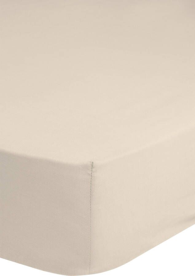Good morning Hoeslaken Jersey Spannbettlaken 100% katoen jersey volledige elastiek tot 25 cm hoogte 90 100x200 wit (1 stuk)
