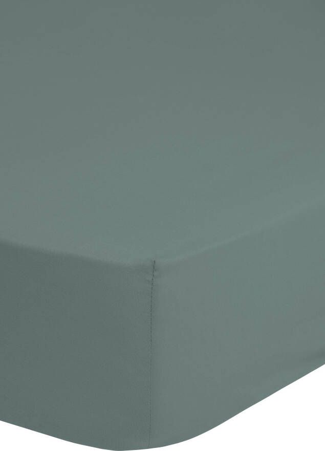 Good morning Hoeslaken Jersey Spannbettlaken 100% katoen jersey volledige elastiek tot 25 cm hoogte 90 100x200 wit (1 stuk)