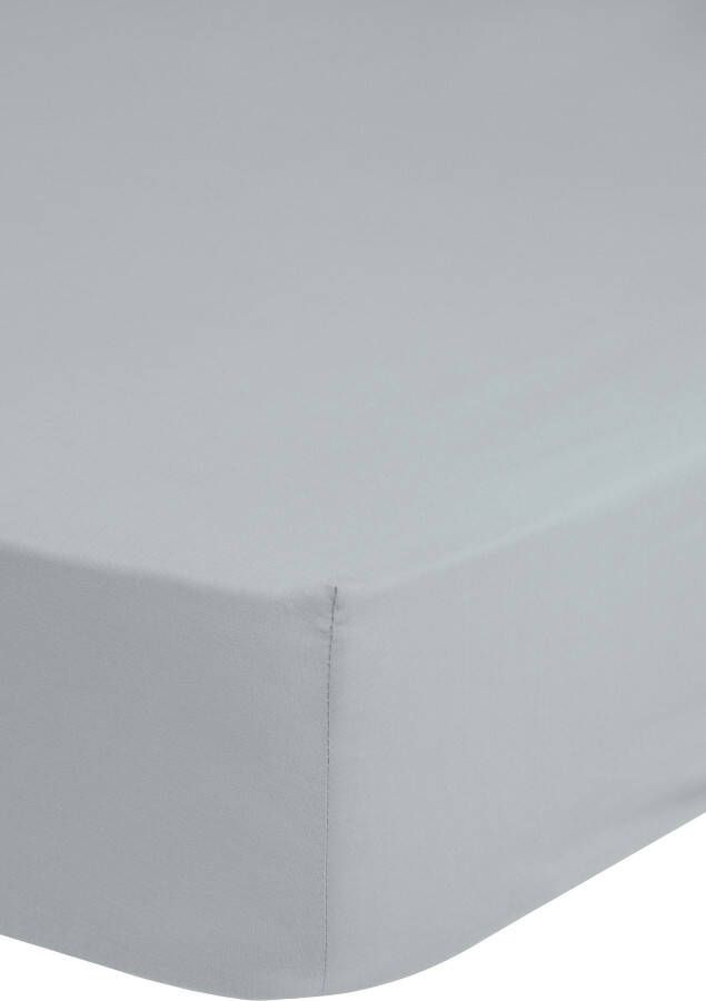 Good morning Hoeslaken Renforcé Junior Katoen Renforcé Baby Volledige elastiek tot 20 cm hoogte 60x120 Wit (1 stuk)