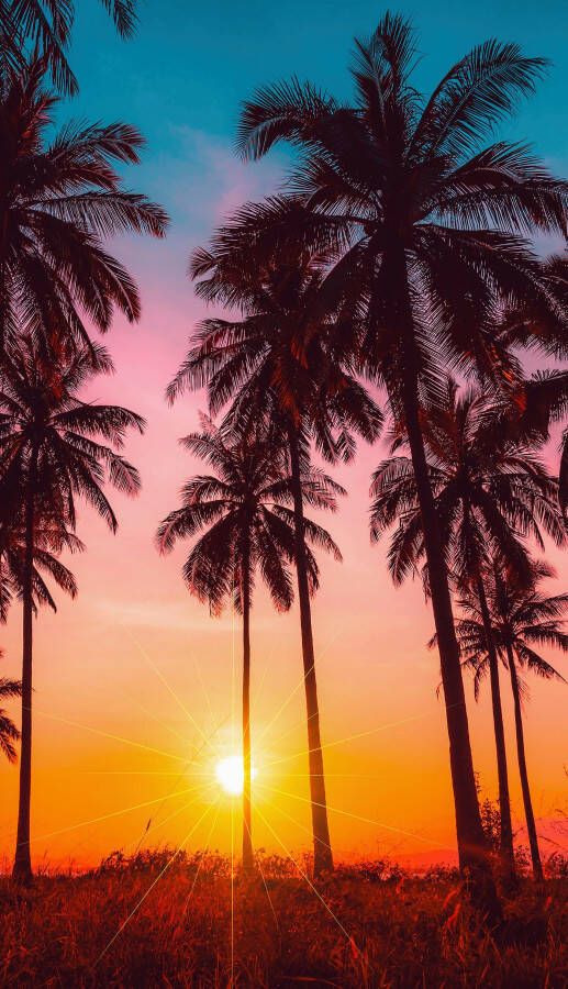 good morning Strandlaken BORA Microvezel 100x180 Sneldrogend Zomer Strand Palm (1 stuk)