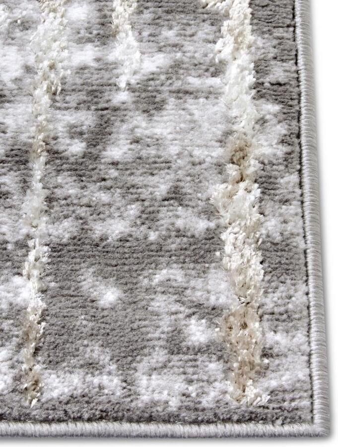 HANSE Home Vloerkleed Abstract slijtvast onderhoudsvriendelijk robuust glanzend