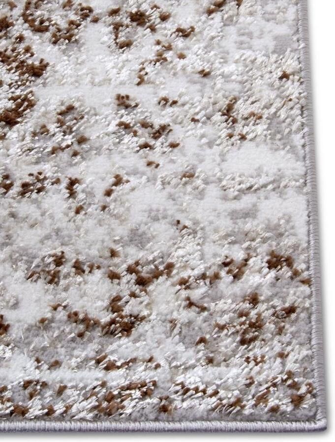 HANSE Home Vloerkleed Retro slijtvast onderhoudsvriendelijk robuust glanzend