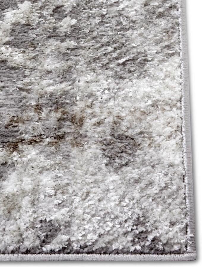 HANSE Home Vloerkleed Style Vintage korte pool oosters uiterlijk onderhoudsvriendelijk robuust glanzend