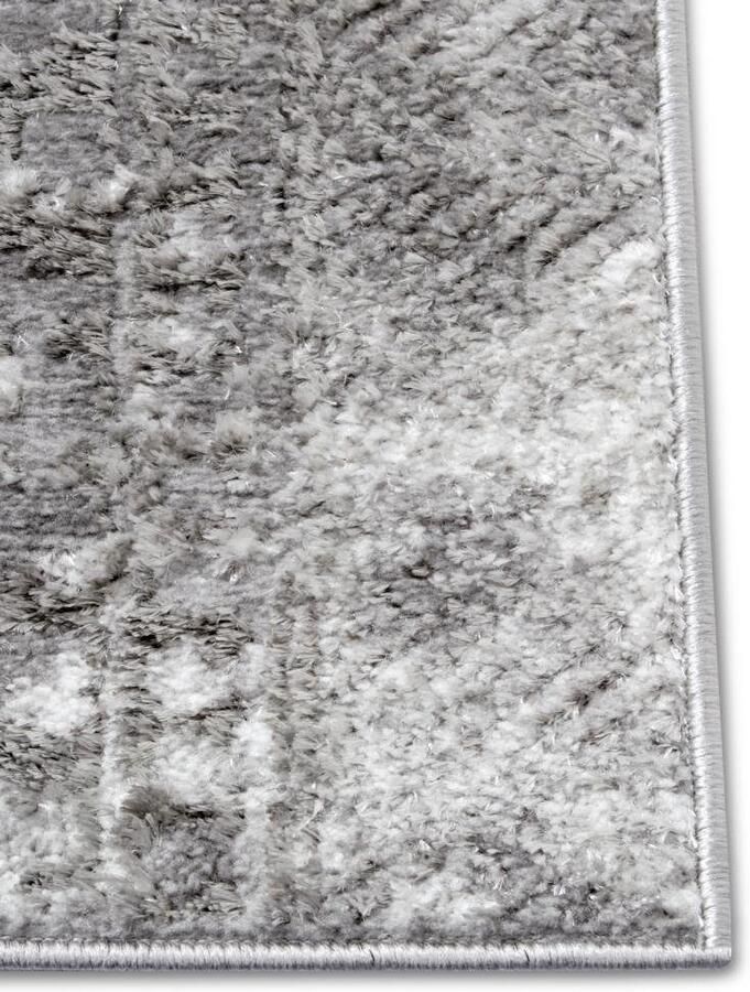 HANSE Home Vloerkleed Style Vintage korte pool oosters uiterlijk onderhoudsvriendelijk robuust glanzend