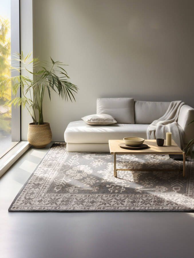 HANSE Home Vloerkleed FLÖDE Orient look slijtvast onderhoudsvriendelijk robuust