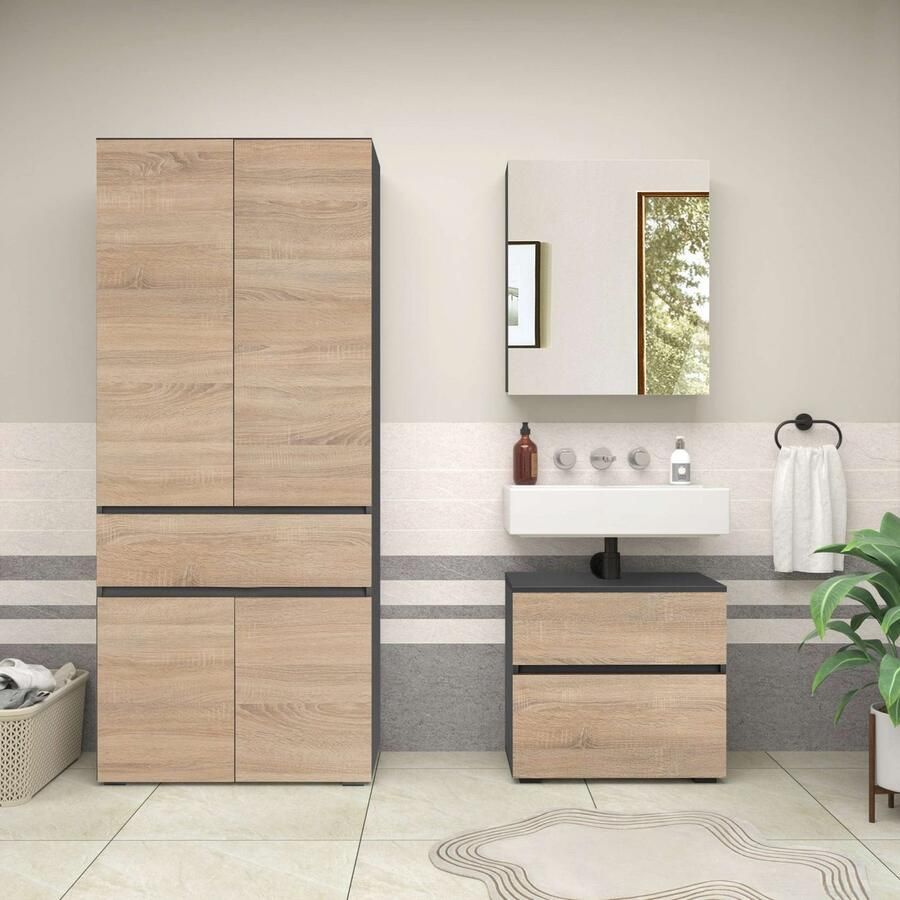 Home affaire Badmeubelset Wisla Spiegelschrank WBU met sifonaansluiting en push-to-open breedte 60 cm (set 2 stuks)