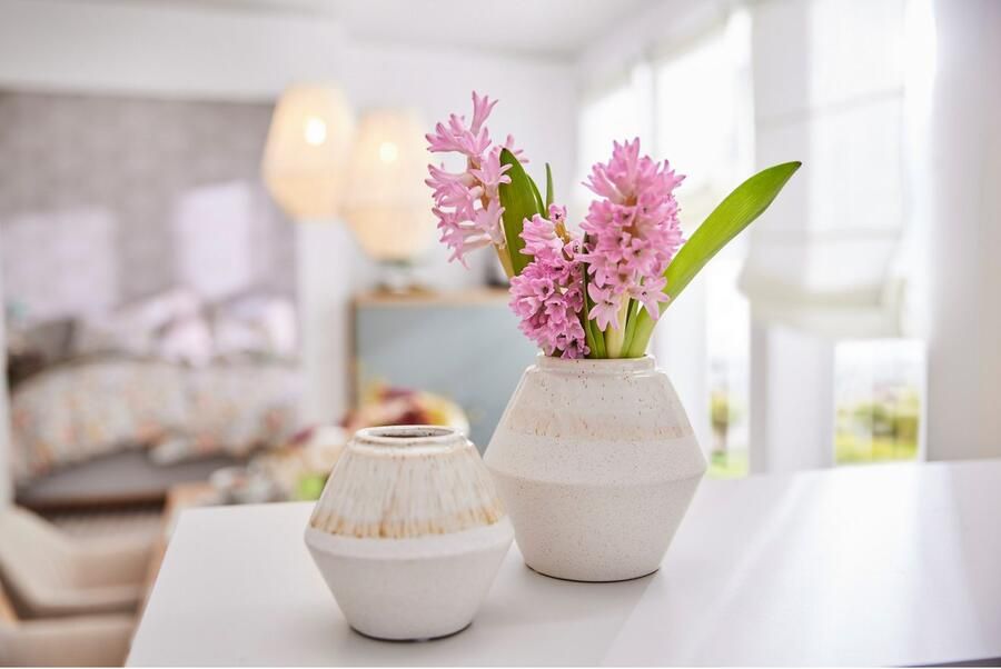 Home affaire Siervaas (set 2 stuks)