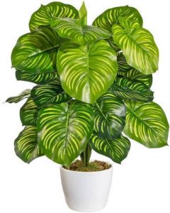 Home affaire Kunst-potplanten Maleroy in een keramische pot