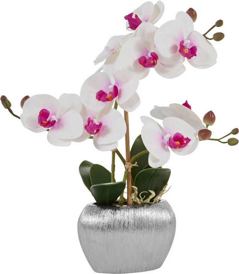 Home affaire Kunstplant Orchidee Kunstorchidee in een pot (1 stuk)
