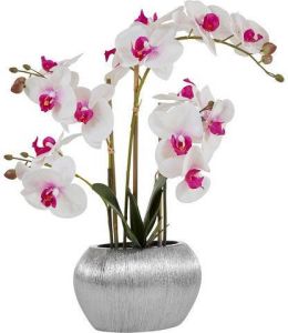 Home affaire Kunstplant Orchidee Kunstorchidee in een pot
