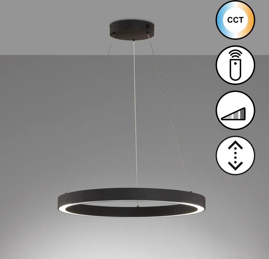 Honsel Leuchten Hanglamp Sirko duurzame led dimbaar (1 stuk)