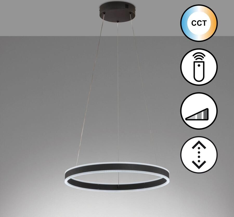 Honsel Leuchten Hanglamp Sirko duurzame led dimbaar (1 stuk)