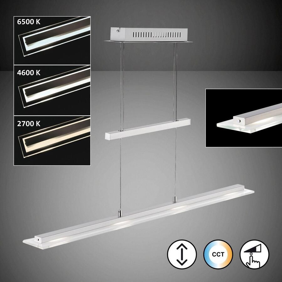 Honsel Leuchten Hanglamp Tenso duurzame led dimbaar (1 stuk)