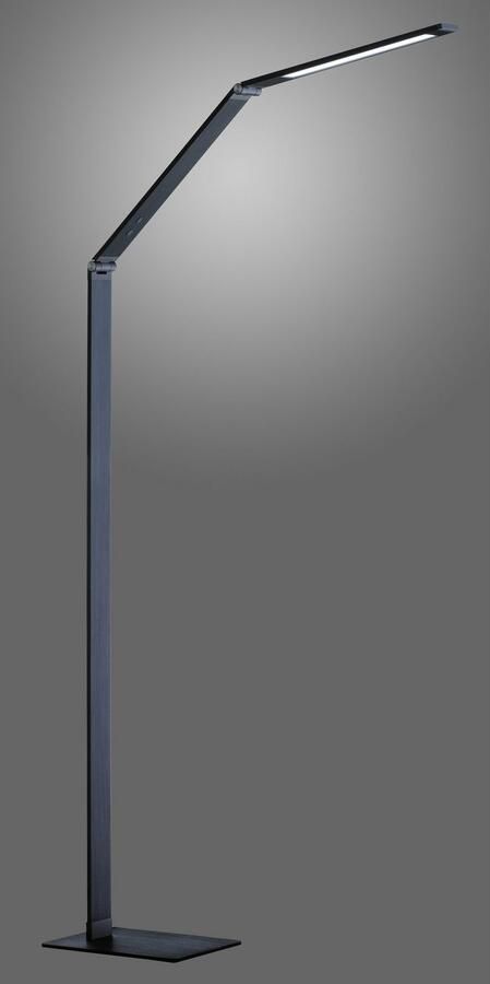 FISCHER&HONSEL Fischer & Honsel Vloerlamp Led Geri Grijs 11w