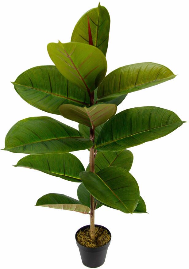 I.GE.A. Kunst-potplanten Rubberboom