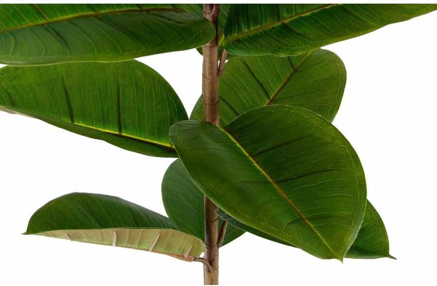 I.GE.A. Kunst-potplanten Rubberboom