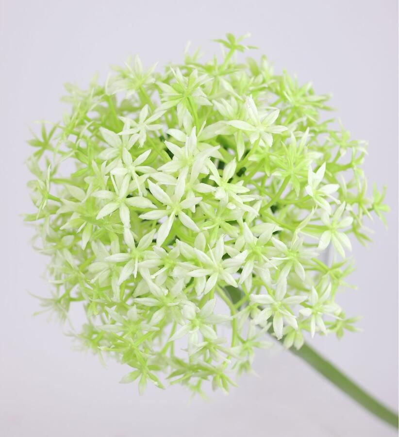 I.GE.A. Kunstbloem Allium sierlook Stelenbloem kunstbloemen(2 stuks)