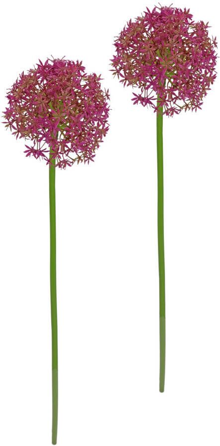 I.GE.A. Kunstbloem Allium Zierlauch (2 stuks)