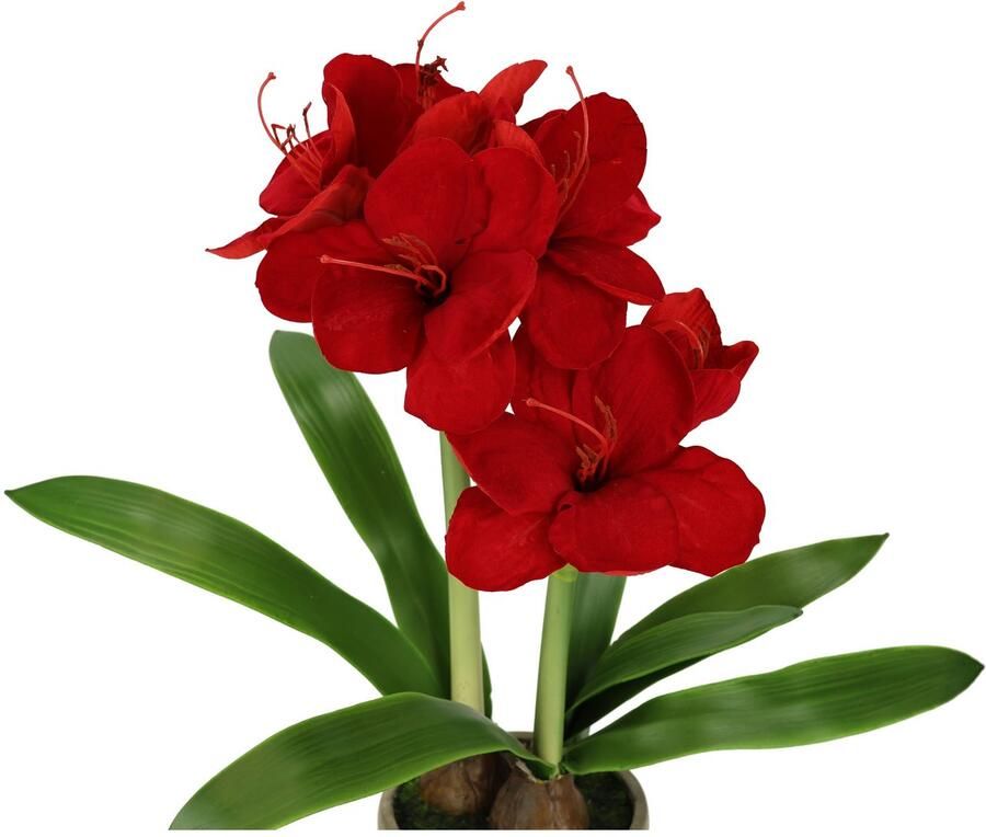 I.GE.A. Kunstbloem Amaryllis in pot 50cm bloem kerstbloem kerstdecoratie winterbloem floristik (1 stuk)