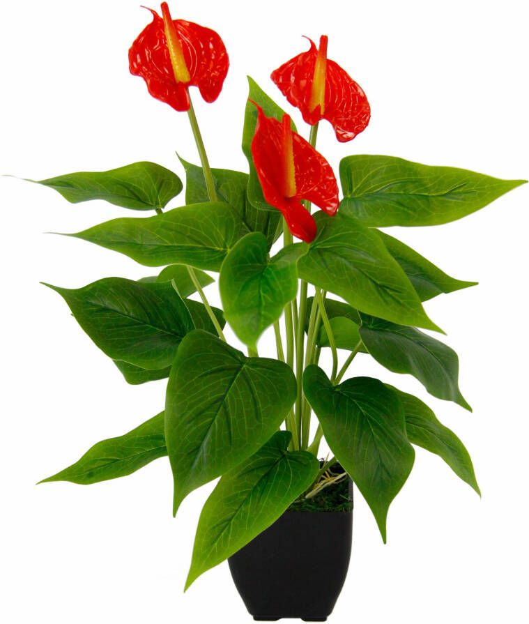I.GE.A. Kunstbloem Anthuriumplant Anthurium plant in pot exotische flamingo plant