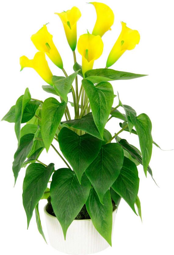 I.GE.A. Kunstbloem Calla In pot van keramiek kunstplant kunstbloemen zijdenbloemen (1 stuk)
