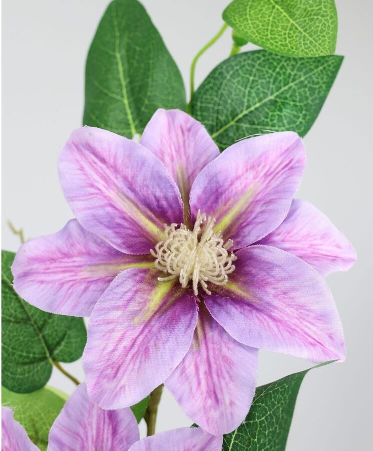 I.GE.A. Kunstbloem Clematisrank waldebe Tak enkele bloem stelen bloem 2-delige set (2 stuks)