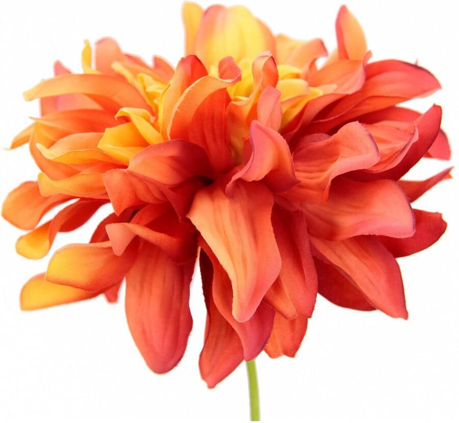 I.GE.A. Kunstbloem Dahlia Enkele bloem steelbloem 3-delige set (3 stuks)