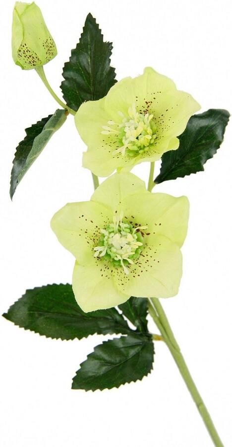 I.GE.A. Kunstbloem Kerstroos Kunstmatige zijden bloemen 5-delige set (5 stuks)