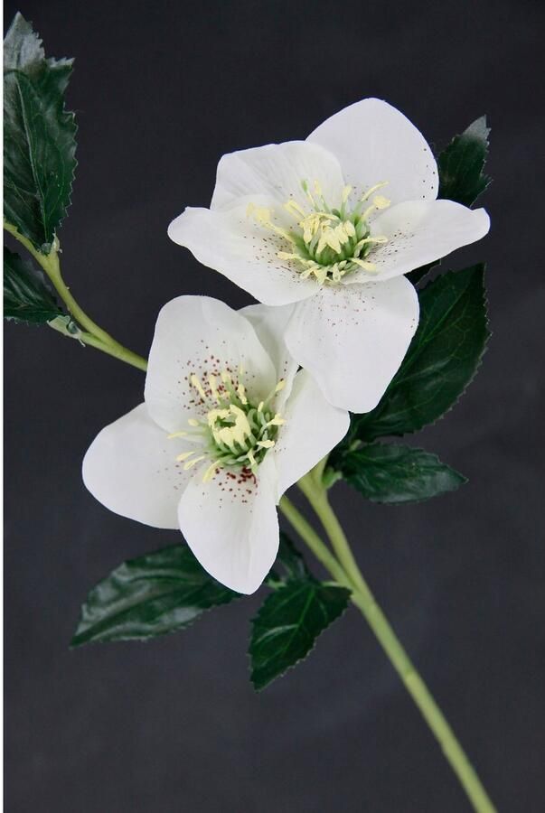 I.GE.A. Kunstbloem Kerstroos Kunstmatige zijden bloemen 5-delige set (5 stuks)