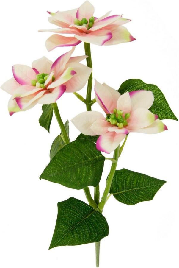 I.GE.A. Kunstbloem Kerstster Kunstmatige poinsettia tak 5-delige set (5 stuks)