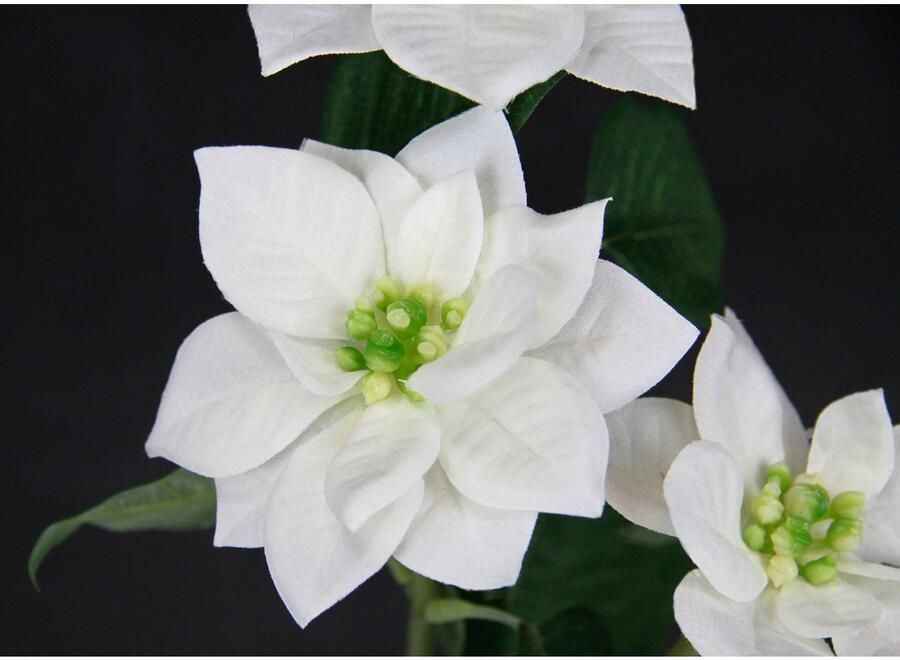 I.GE.A. Kunstbloem Kerstster Kunstmatige poinsettia tak 5-delige set (5 stuks)