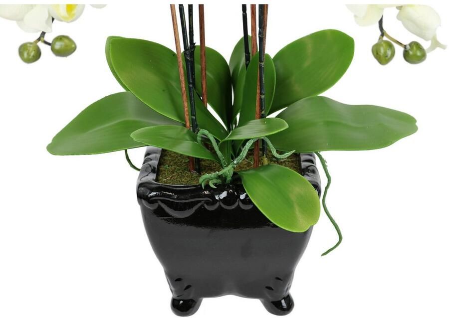 I.GE.A. Kunstbloem Kunstmatige orchidee in schaal phalaenopsis kunstbloem (1 stuk)