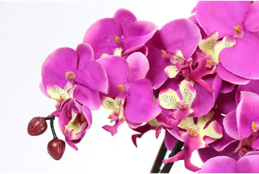 I.GE.A. Kunstbloem Kunstmatige orchidee in schaal phalaenopsis kunstbloem (1 stuk)