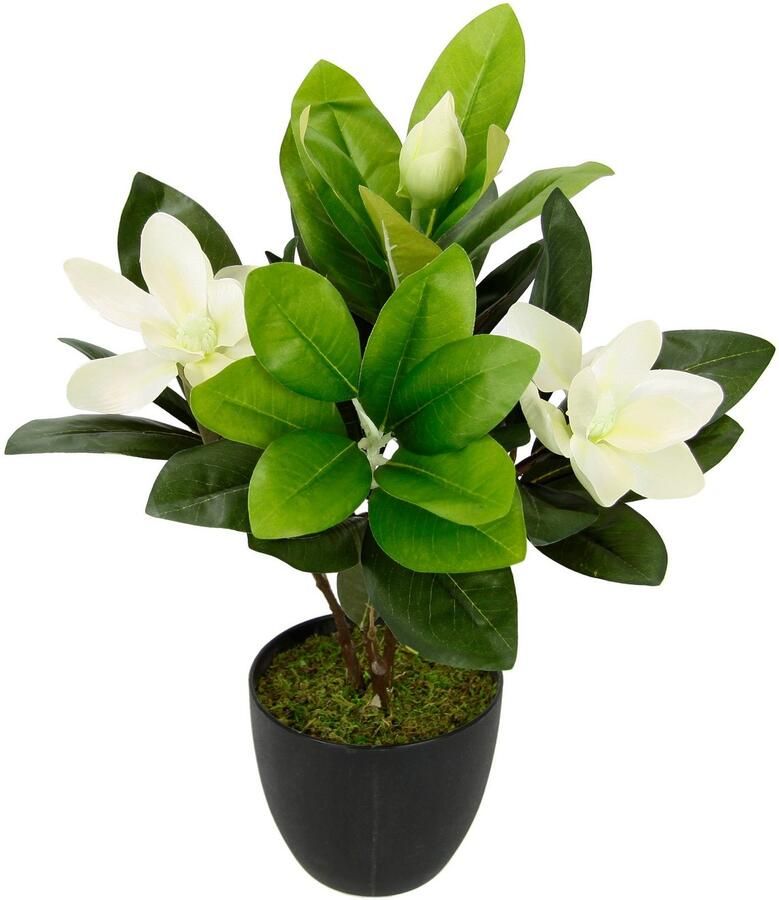 I.GE.A. Kunstbloem MAGNOLIE In pot magnolia struik kunstmatig lente zijdenbloemen kamerdecoratie