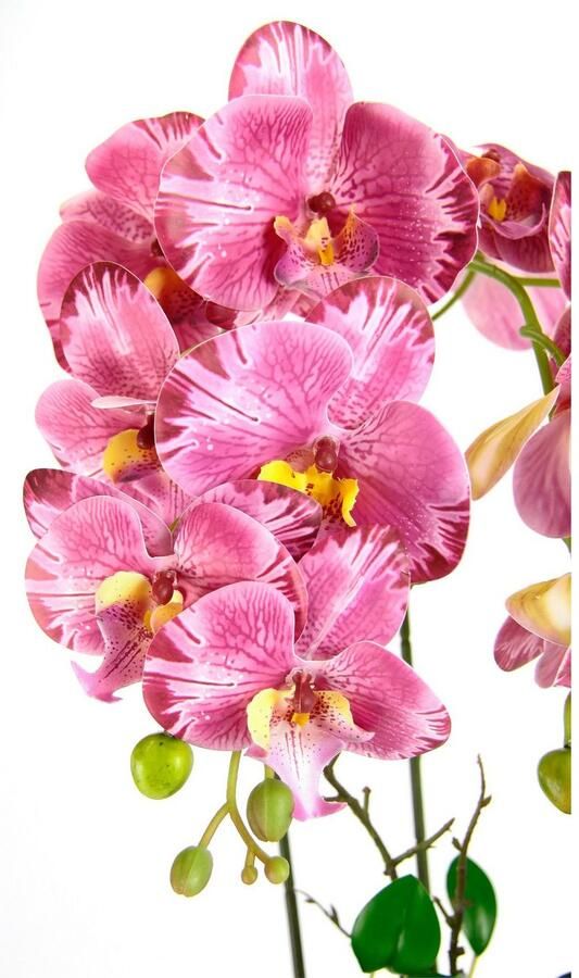 I.GE.A. Kunstbloem Orchidee In pot phalaenopsis orchidee phalaenopsis met bloempot bruiloft