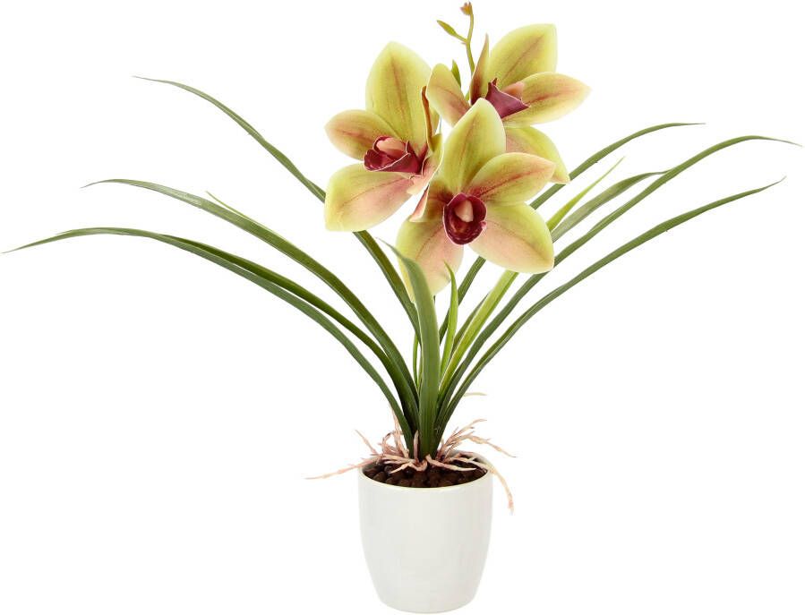 I.GE.A. Kunstbloem Orchidee Met bladeren in pot van keramiek kunstbloem Cymbidium-orchidee (1 stuk)