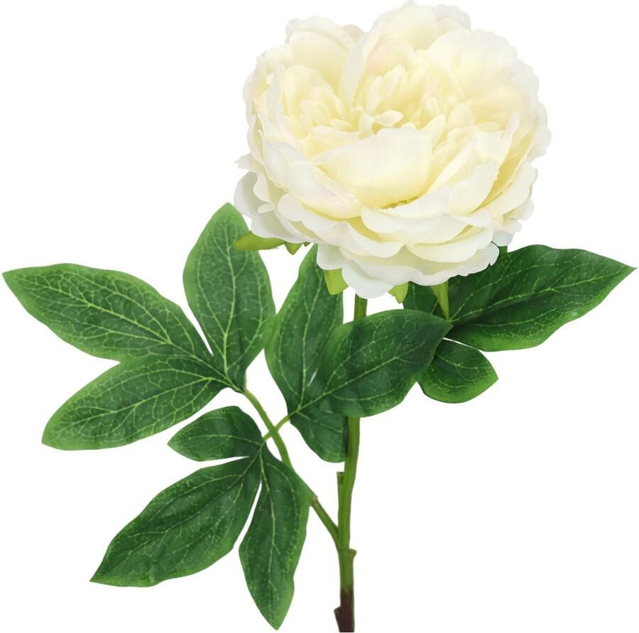 I.GE.A. Kunstbloem Pioenroos Pioenrozen enkele bloem set van 3 (3 stuks)