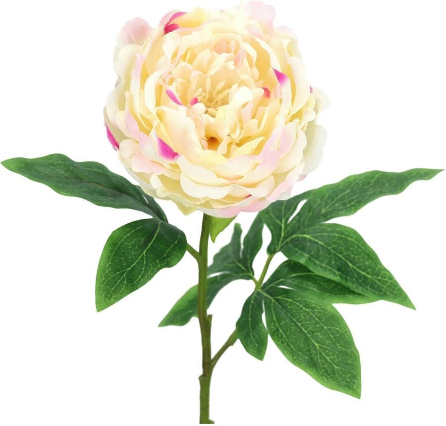 I.GE.A. Kunstbloem Pioenroos Pioenrozen enkele bloem set van 3 (3 stuks)