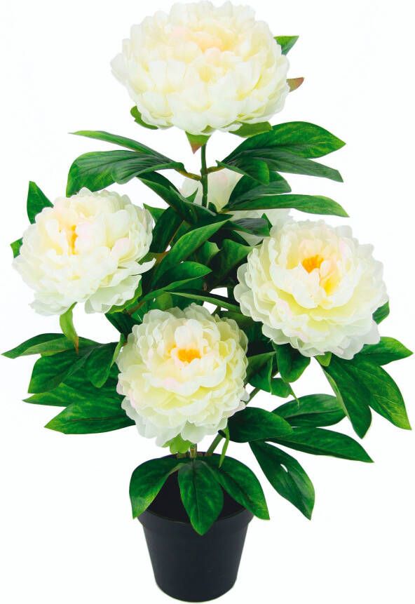 I.GE.A. Kunstbloem Pioenroos Zijdebloemen (1 stuk)