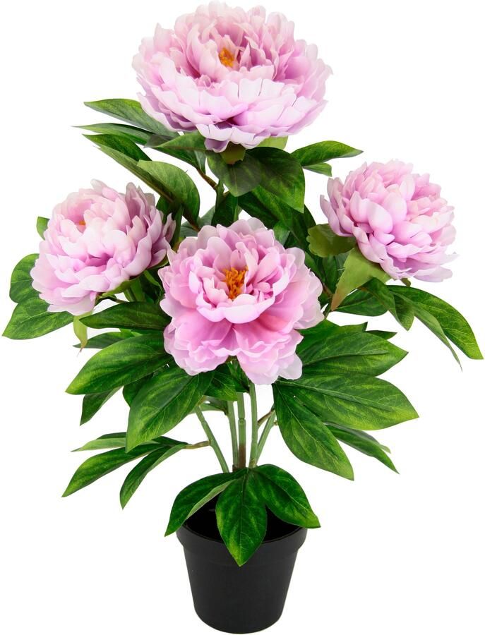 I.GE.A. Kunstbloem Pioenroos Zijdebloemen (1 stuk)