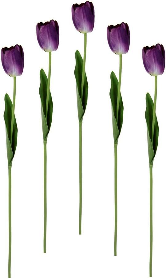 I.GE.A. Kunstbloem Real Touch Tulpen set van 5 kunst-tulpenknoppen kunstbloemen snijbloem (5 stuks)