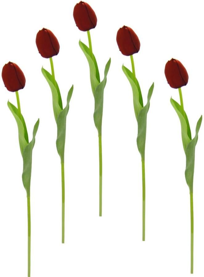 I.GE.A. Kunstbloem Real Touch Tulpen set van 5 kunst-tulpenknoppen kunstbloemen snijbloem (5 stuks)