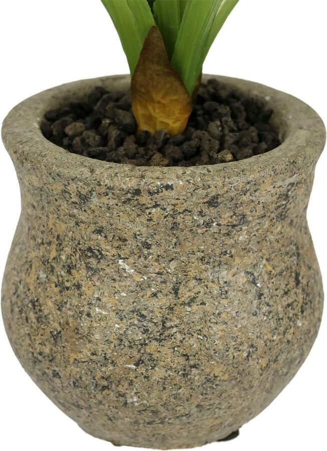 I.GE.A. Kunstbloem vlinderorchidee met keramische pot Met bladeren en luchtwortels kunstorchidee Phalaenopsis kunstplant (1 stuk)