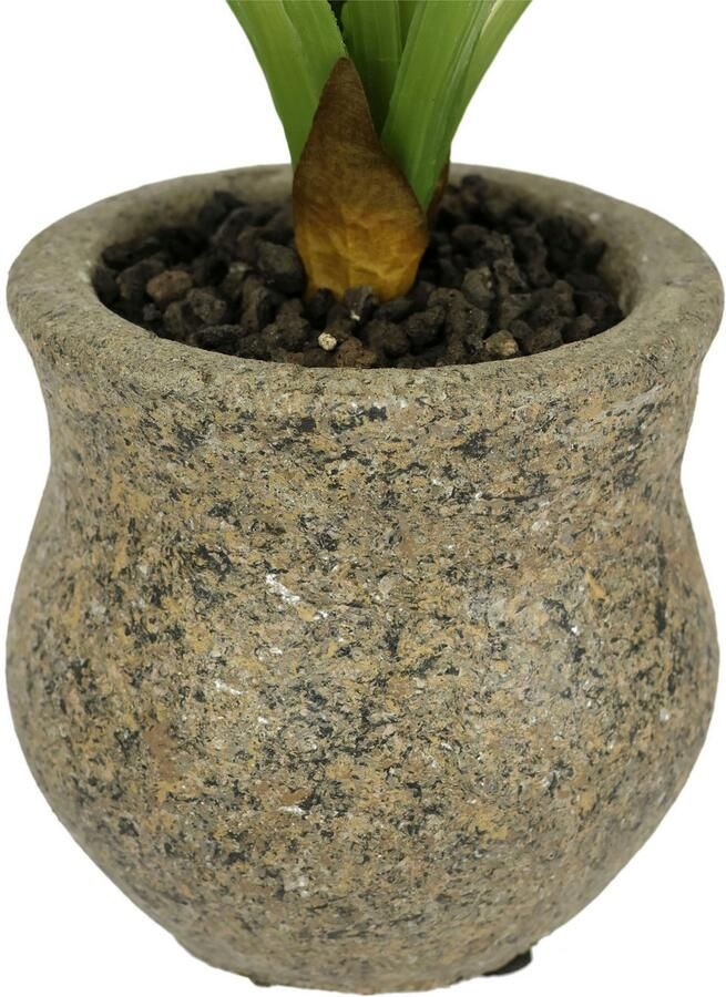 I.GE.A. Kunstbloem vlinderorchidee met keramische pot Met bladeren en luchtwortels kunstorchidee Phalaenopsis kunstplant (1 stuk)