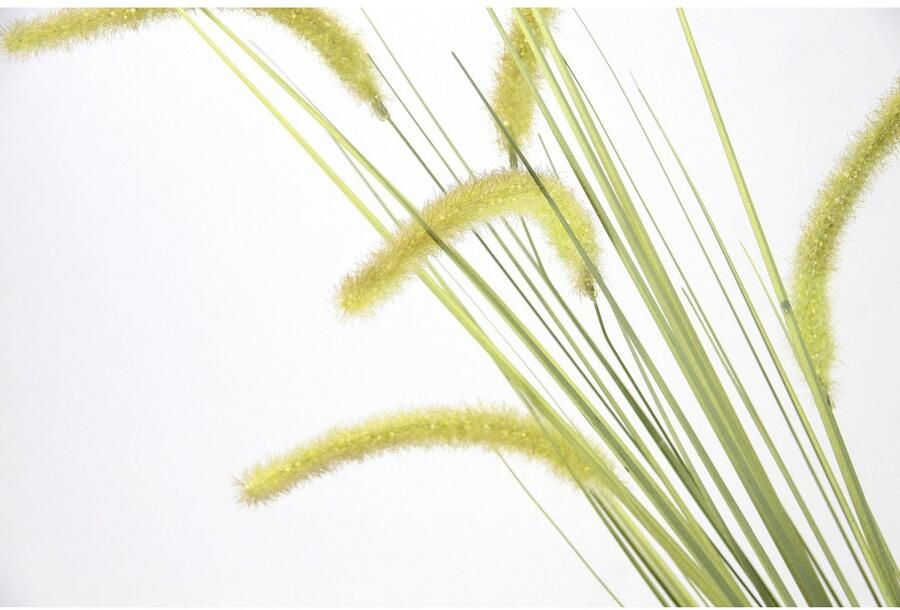 I.GE.A. Kunstbloem Vossenstaart Decoratieve tak 2-delige set (2 stuks)