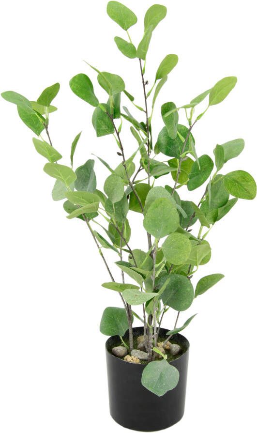 I.GE.A. Kunstboom Eucalyptus in pot kunstmatig eucalyptusboom plant decorboom (1 stuk)